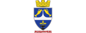 GradskaopstinaMladenovac